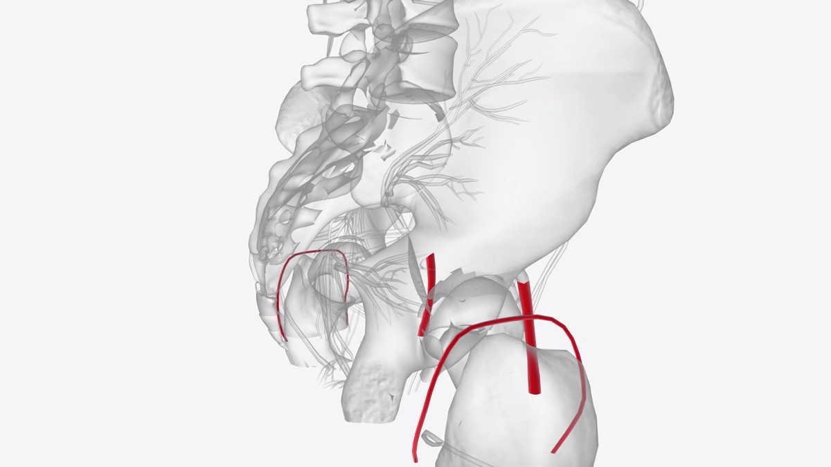 МРТ ангиография интракраниальных сосудов (артерии и вены) - 1