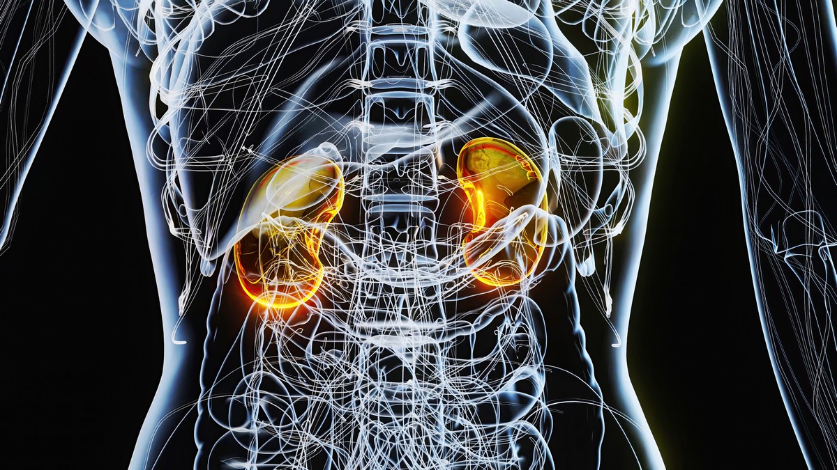МСКТ мочевыделительной системы с внутривенным болюсным контрастированием - 1